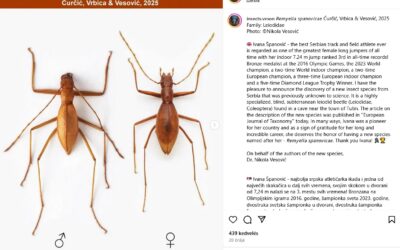 Rovart neveztek el Ivana Španovićról