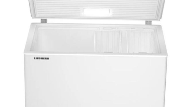 A fagyasztóláda gyakorlati haszna és a sikeres fagyasztás titkai