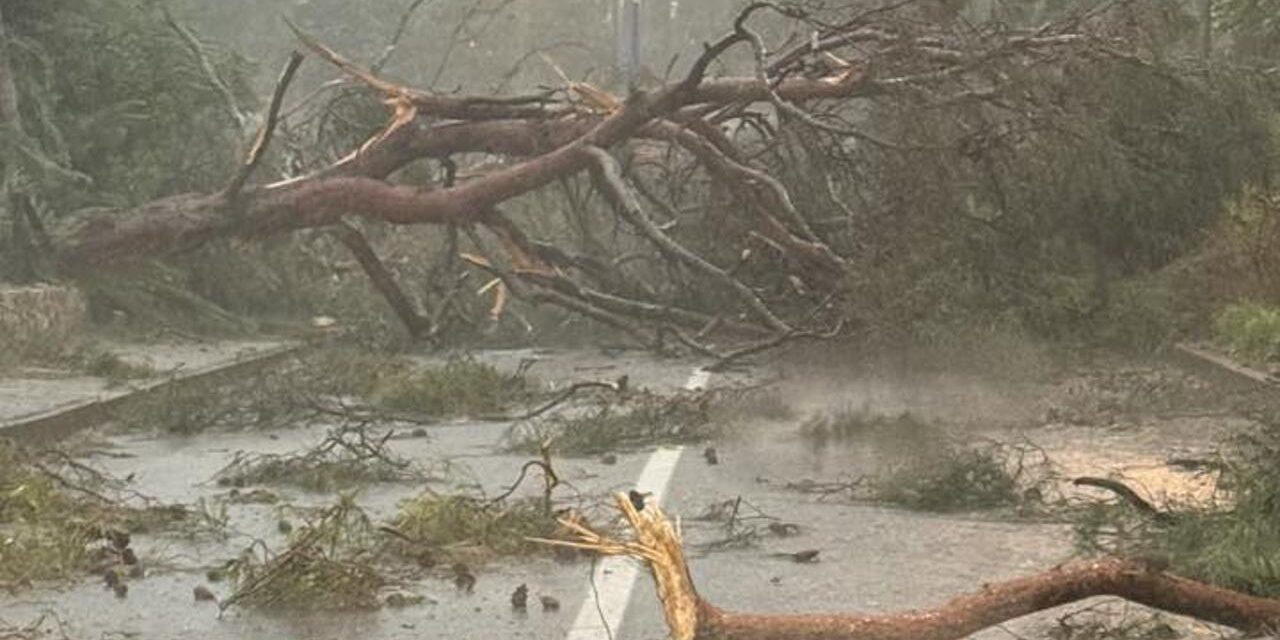 Heves vihar csapott le a horvát tengerparta – fák dőltek ki a kempingekben, többen megsérültek