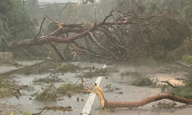 Heves vihar csapott le a horvát tengerparta – fák dőltek ki a kempingekben, többen megsérültek