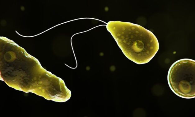 Mit lehet tudni az agyevőamőba-fertőzésről, ami egy tizenegy éves kisfiú halálát okozta?