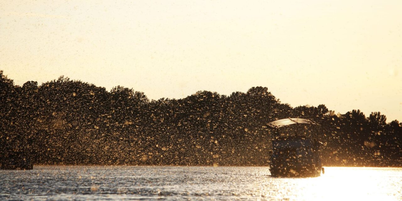 Küszöbön a tiszavirágzás