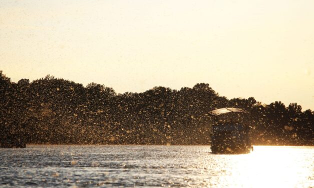 Küszöbön a tiszavirágzás