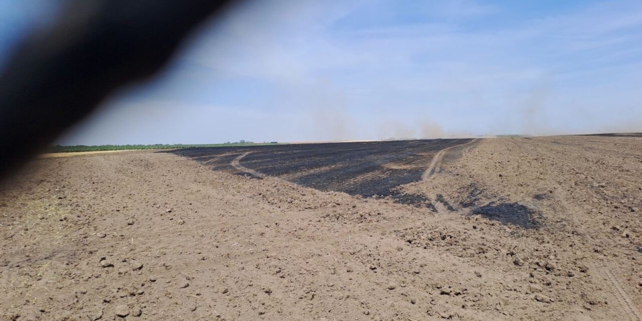 Elveszíthetik a támogatást azok a gazdaságok, amelyek meggyújtják a növényi hulladékot