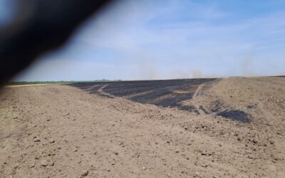 Elveszíthetik a támogatást azok a gazdaságok, amelyek meggyújtják a növényi hulladékot
