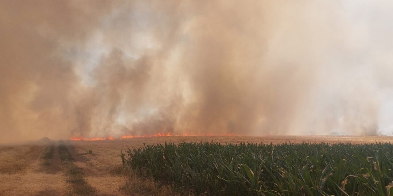 Lángra kapott a csantavéri árpatarló