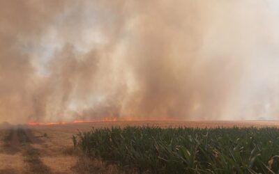 Lángra kapott a csantavéri árpatarló