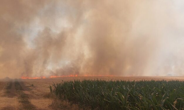 Lángra kapott a csantavéri árpatarló