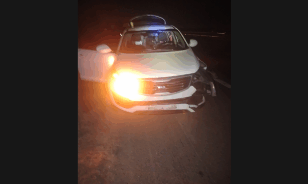 Vaddisznókondába futott bele egy öttagú család autója az autópályán