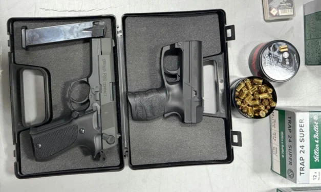 Fegyvercsempész bukott le Horgoson