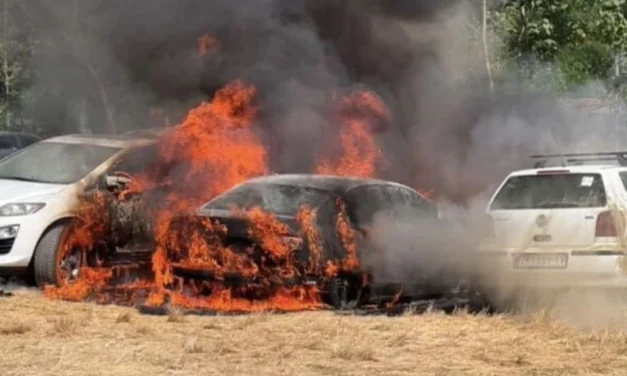 Három autót nyelt el a tűz a nagybecskereki strandon