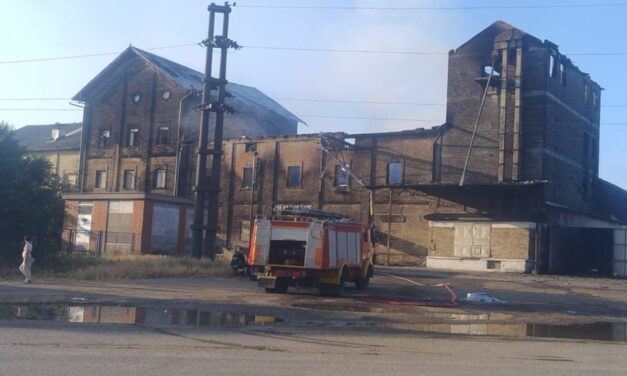 Eloltották a tüzet a szenttamási malomnál