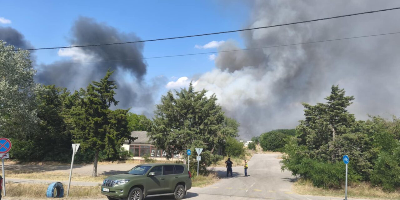 Lángol az erdő a tompai határátkelőnél