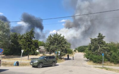 Lángol az erdő a tompai határátkelőnél
