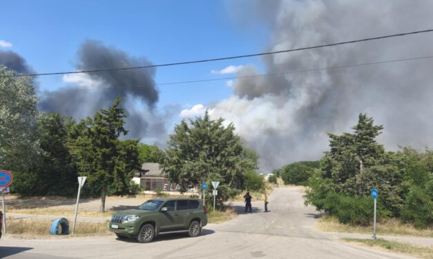Lángol az erdő a tompai határátkelőnél