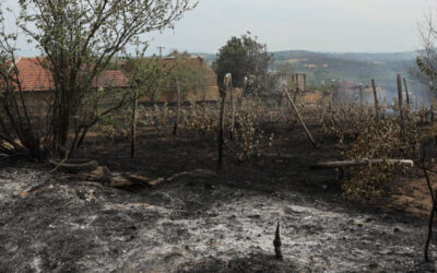 Vissza nem térítendő támogatást ad az állam a tűzkárosult gazdáknak