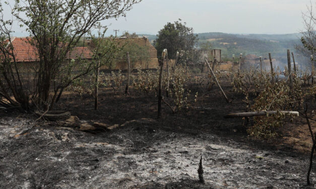 Vissza nem térítendő támogatást ad az állam a tűzkárosult gazdáknak