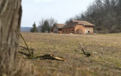 Orosz kiképzőtáborok működtek Szerbiában és Bosznia-Hercegovinában