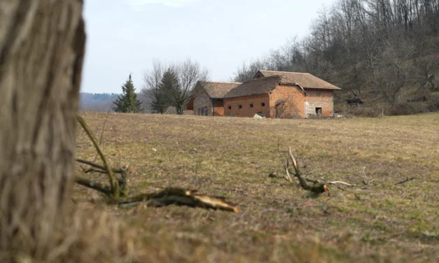 Orosz kiképzőtáborok működtek Szerbiában és Bosznia-Hercegovinában