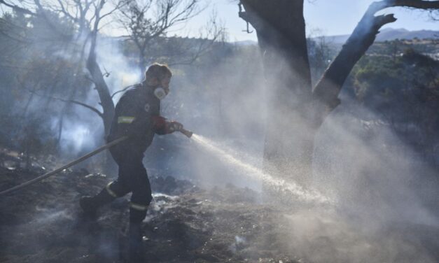 Ellenőrzés alatt a tasszoszi erdőtűz