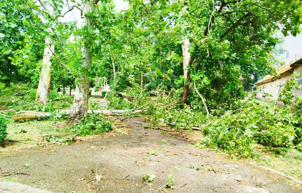 Leszakadt villanyvezeték, mikrobuszra dőlt fa, járdára zuhant téglák (képek)
