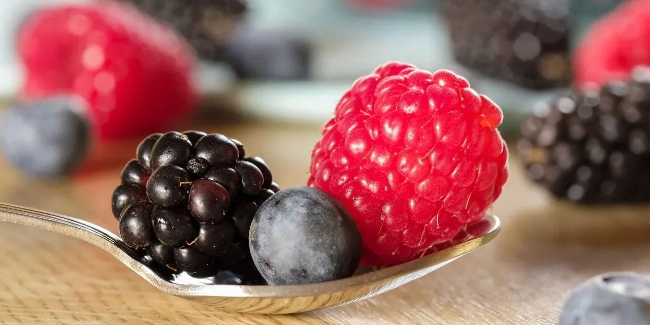 Hepatitis A vírus volt a szerbiai fagyasztott bogyós gyümölcsben