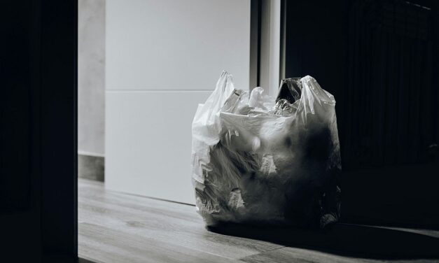 Bírságolják a polgárokat, akik szemetet vittek a községháza elé