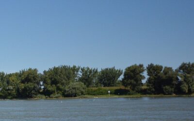 Kézigránátot talált a Dunánál egy horgász