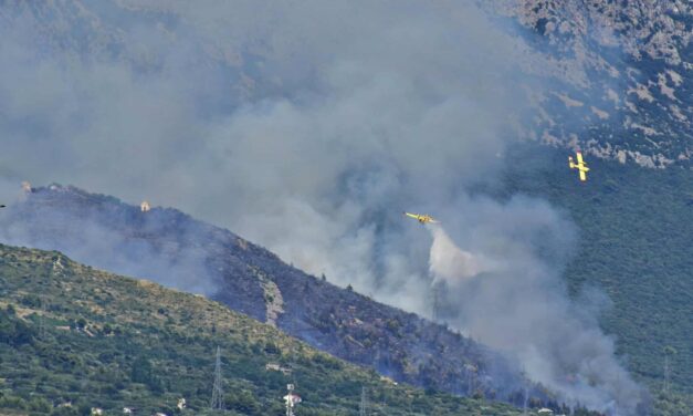 Kiderült, mi okozta a horvátországi erdőtüzet