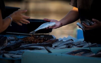 Szétverték egy tüntetőket támogató tulajdonos halboltját