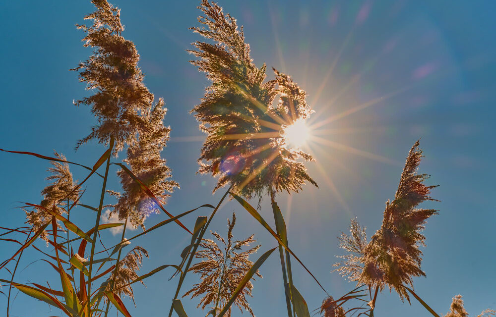 Megjelent a hosszú távú időjárás-előrejelzés