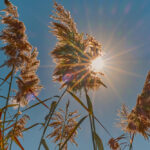 Ekkor érkezik a felmelegedés