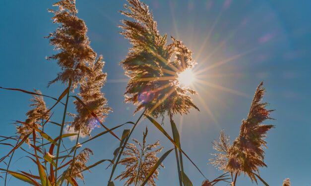 Megjelent a hosszú távú időjárás-előrejelzés
