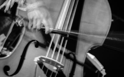 Egyedülálló találkozási pont a Nemzetközi Improvizatív Zenei Műhely