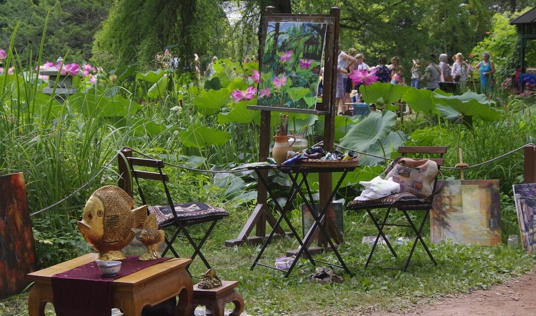 Közép-Európa legnagyobb virágzó indiailótusz-állományával várja látogatóit a szegedi füvészkert