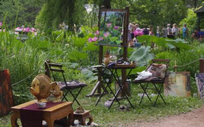 Közép-Európa legnagyobb virágzó indiailótusz-állományával várja látogatóit a szegedi füvészkert