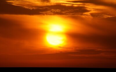 Riasztó adatok érkeztek a nagy hőhullámok halálos következményeiről Szerbia Görögország és Bulgária mögött