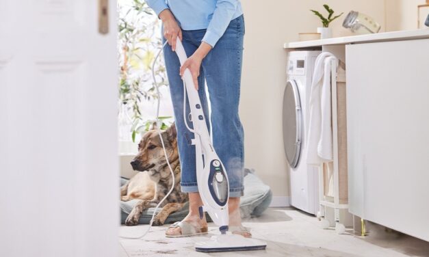 Kivonják a forgalomból a Lidl felmosóját