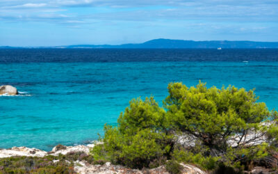 Megfulladt egy szerbiai férfi a görög tengerparton