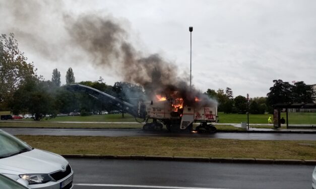 Szabadkai és temerini gyújtogatókat tartóztattak le