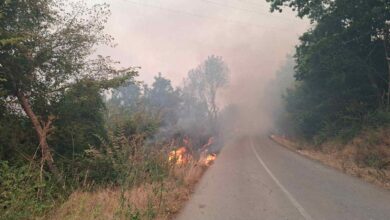 <span class="entry-title-primary">Egy egész falu leégett</span> <span class="entry-subtitle">Rendkívüli helyzet, több települést is veszélyeztet a tűz</span>