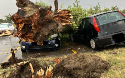 „Vajdaság olyan, mint egy forró serpenyő”
