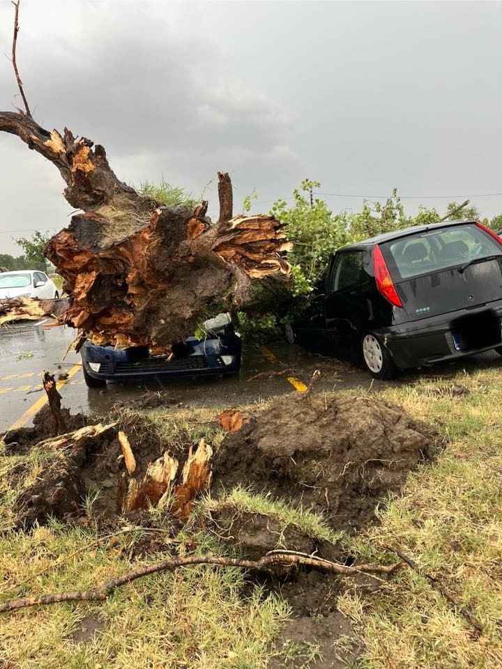 Forrás: Zentai Panasz Postaláda/Facebook
