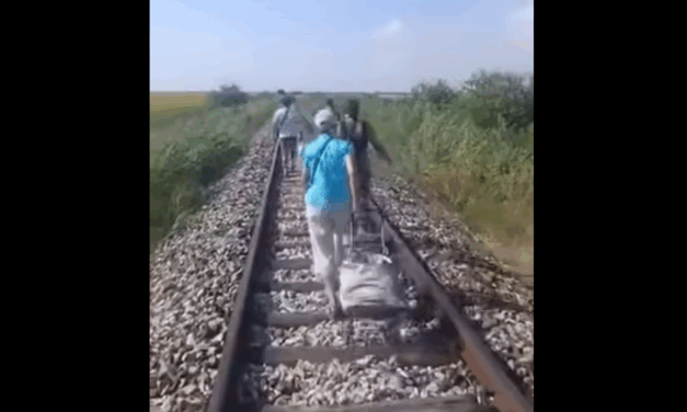Meghibásodott a bánáti vonat, negyven fokos hőségben, a síneken gyalogoltak az utasok (Videó)