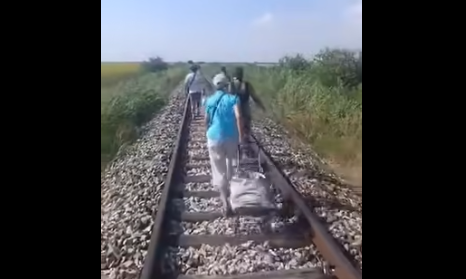 Meghibásodott a bánáti vonat, negyven fokos hőségben, a síneken gyalogoltak az utasok (Videó)