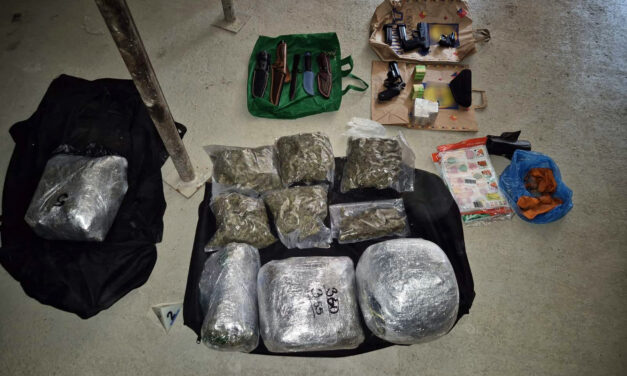 Harminc kiló füvet, fegyvereket és amfetamint foglaltak le Újvidéken (Fotók)