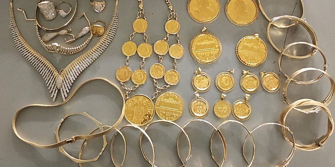 Horgoson fél kiló aranyat, Kelebián szigorúan védett teknőst találtak a vámosok (Fotók)