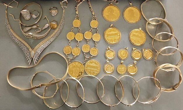 Horgoson fél kiló aranyat, Kelebián szigorúan védett teknőst találtak a vámosok (Fotók)