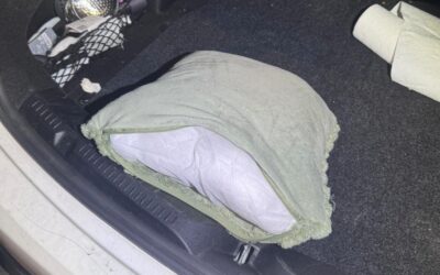 Párnába rejtett drogot talált a szolgálati kutya Horgoson (Fotók)