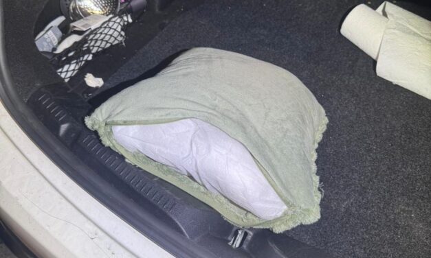 Párnába rejtett drogot talált a szolgálati kutya Horgoson (Fotók)